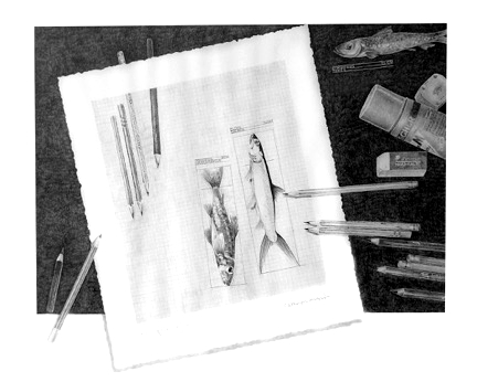 Kathryn's Educative Art, fishes and pencils