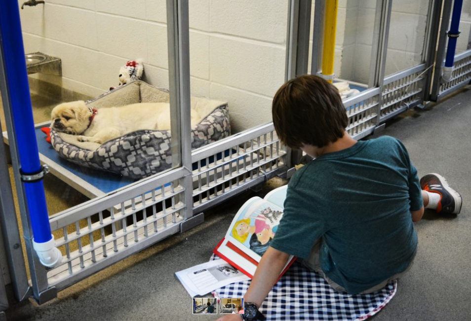 Boy sitting on the floor reading to a dog 