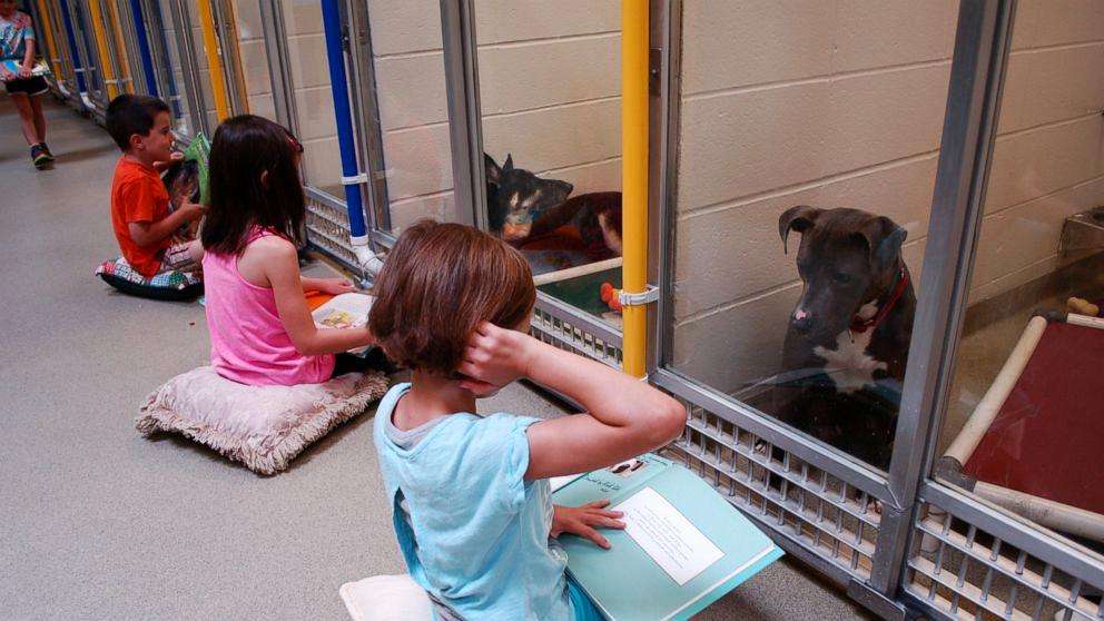 Children sitting in front of dog kennels reading to them 