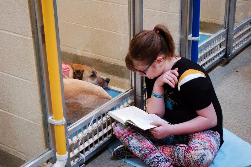 Girl sitting on the floor reading to a dog 