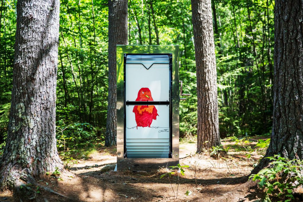 new-hampshire-woods-giant-flibook-red-bird-daytime