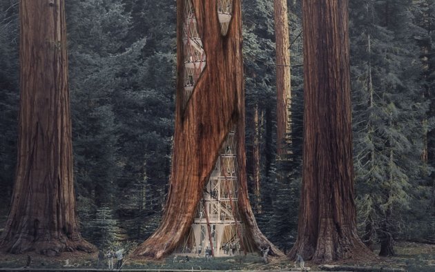 sequoia-skyscraper-base