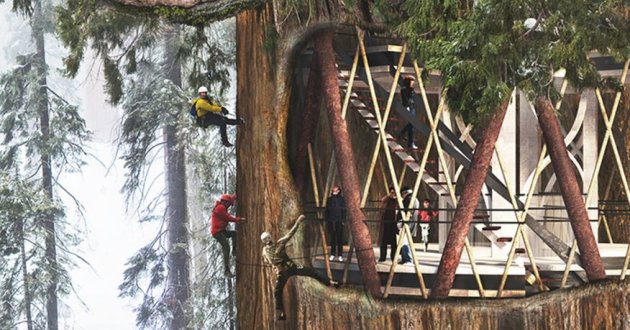 sequoia-construction