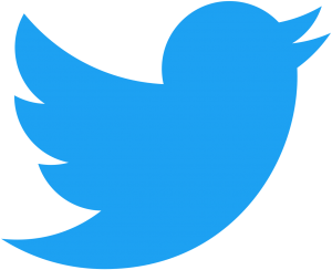 Twitter Logo- image  dimension 