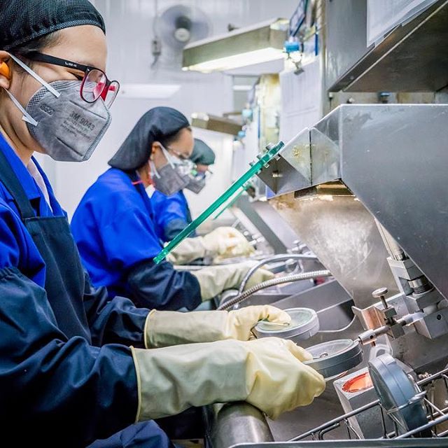 Poeple working at essilor and creating the product
