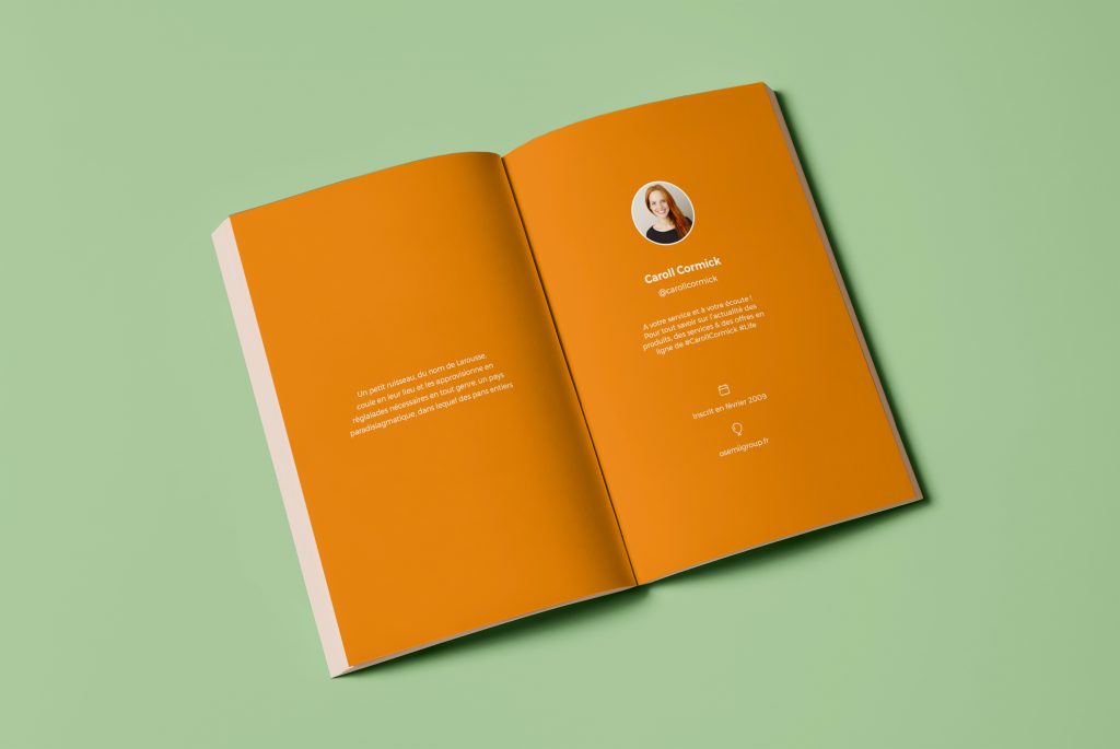 the first page of a twitter book