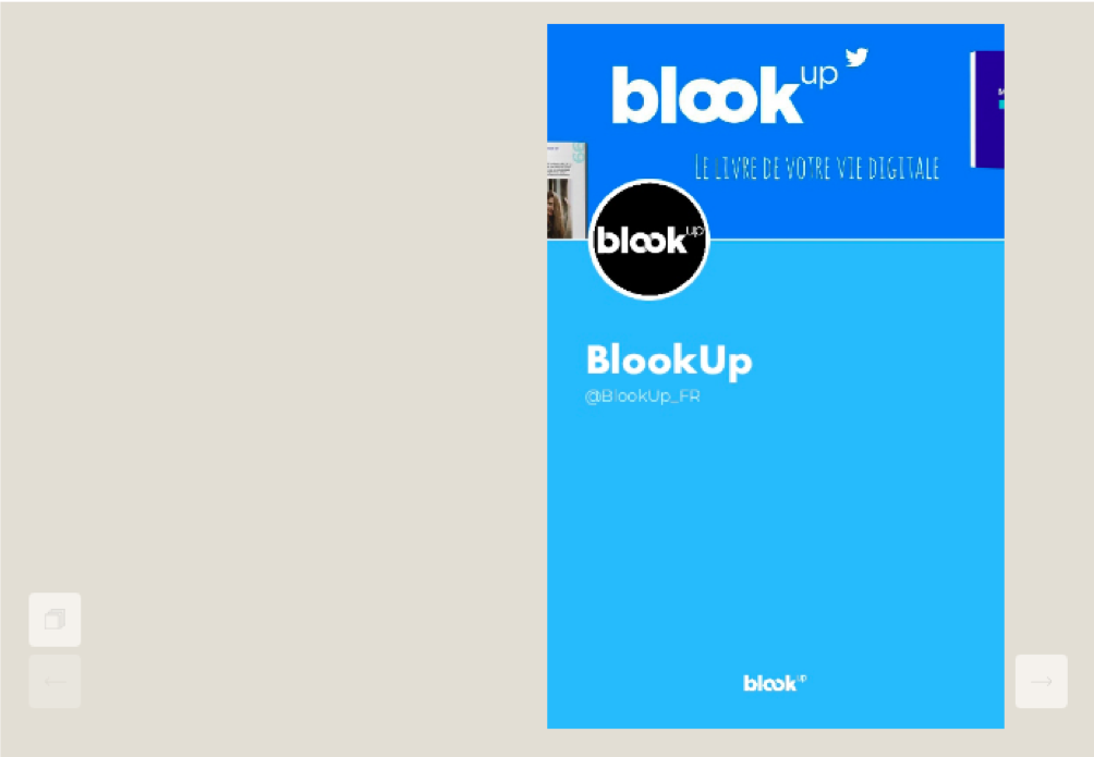 Preview for the book of a twitter book